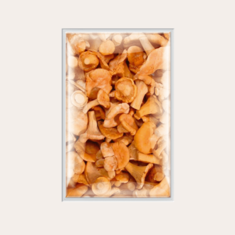 Chanterelle mushrooms, 1 kg